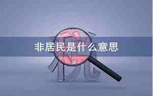 非居民是什么意思