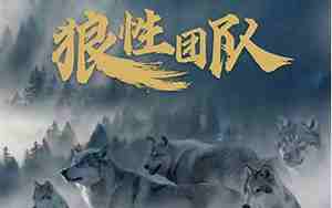 战狼婚庆团队介绍词
