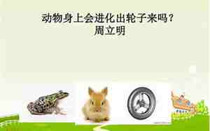 动物身上会进化出轮子来吗教案