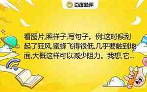 蜜蜂什么在写句子