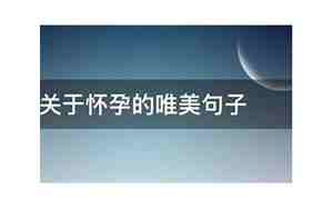 关于怀孕的句子