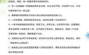 描写人物外貌的句子简短一点