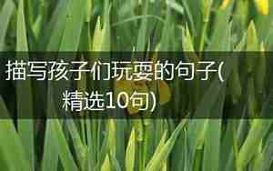 描绘孩子们玩耍的句子