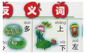 运用相反词语的句子
