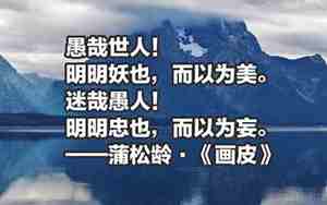 形容不聪明句子