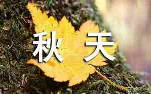 形容秋天的树木的句子100字