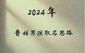 姓何龙凤宝宝名字