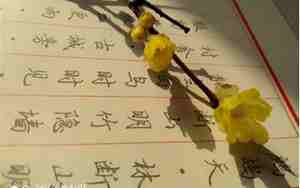 挖墙脚后怎么维护感情