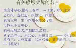 感恩主人的句子