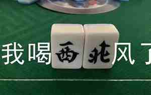 打牌输钱的句子