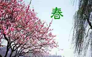 描写春景的一段句子是什么