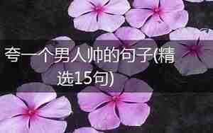 夸帅男靓女的句子