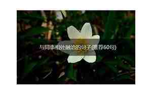 融洽造句子
