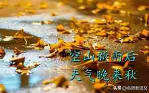 赞美门前水泥道的句子