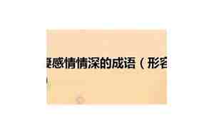 成语挽回感情