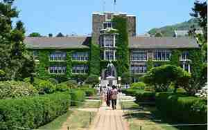 延世大学