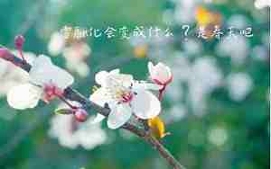 写春的句子600字左右