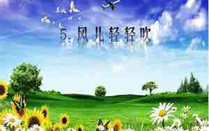 风轻轻吹句子