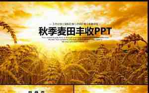 丰收婚庆词