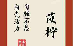 抖音起名字宝宝