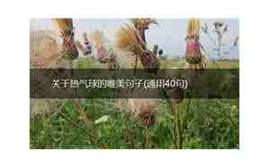 关于热气球的唯美句子