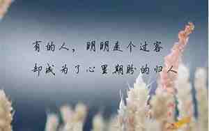 关于朋友的古代句子