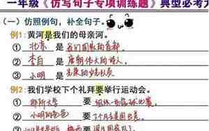 总和造句子