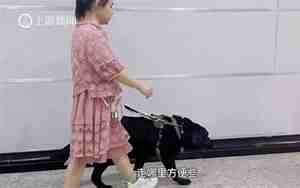谢谢你的深情的句子
