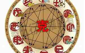 95年属猪是什么命