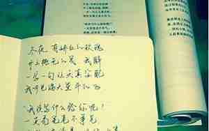 有文采句子摘抄