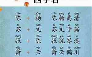 虎年女宝宝属金水好名字