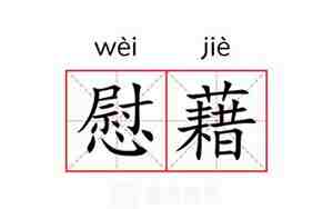 慰藉是什么意思