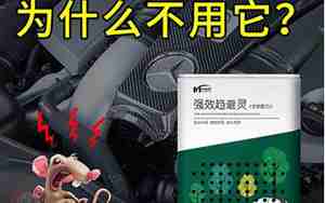 汽车发动机怎样防老鼠
