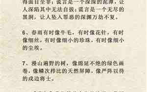 用排比句抒情的句子
