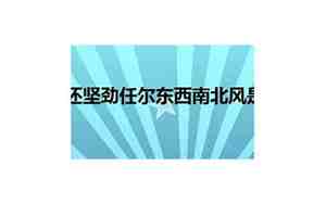 任尔东西南北风是什么意思