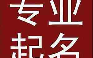 土地行业的公司起名
