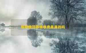感情挽回收费吗