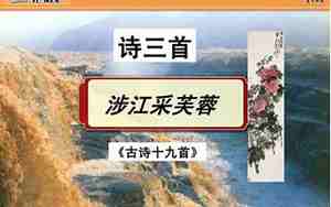 涉江采芙蓉教案