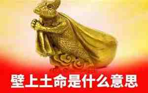 壁上土命是什么意思