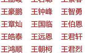 宝宝起名女孩名字王