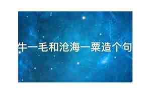 沧海一粟造句子意思