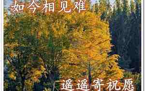 秋日物的句子语