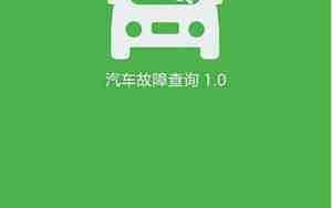 汽车故障码查询软件