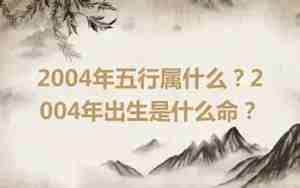 2004年是什么命