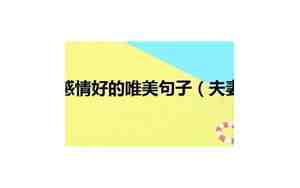 形容两夫妻不和的句子