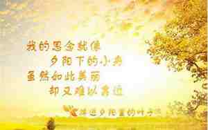 想表白一个人的句子
