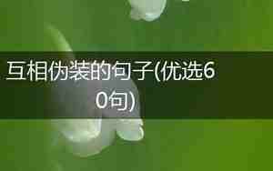 一个伪装的句子