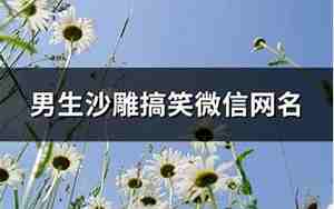 搞笑微信网名男生