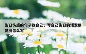 生日悲伤句子说说心情短语