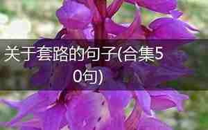 关于套路的句子